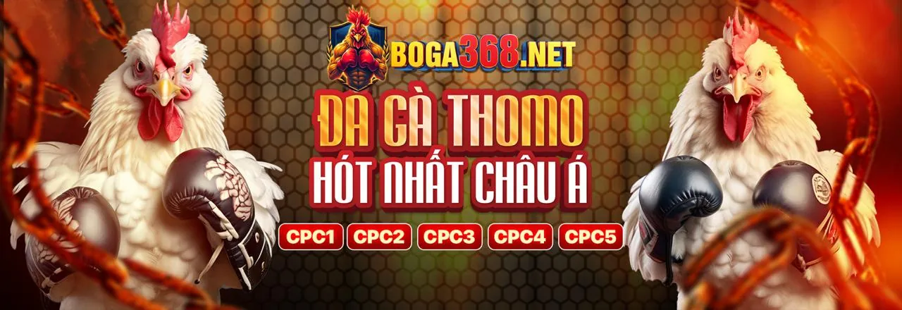 Đá gà trực tuyến 5nem Win
