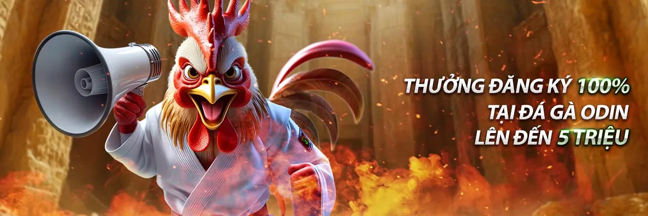 Hình ảnh chính 5nem Win: Trải nghiệm cá cược an toàn, công bằng và có trách nhiệm